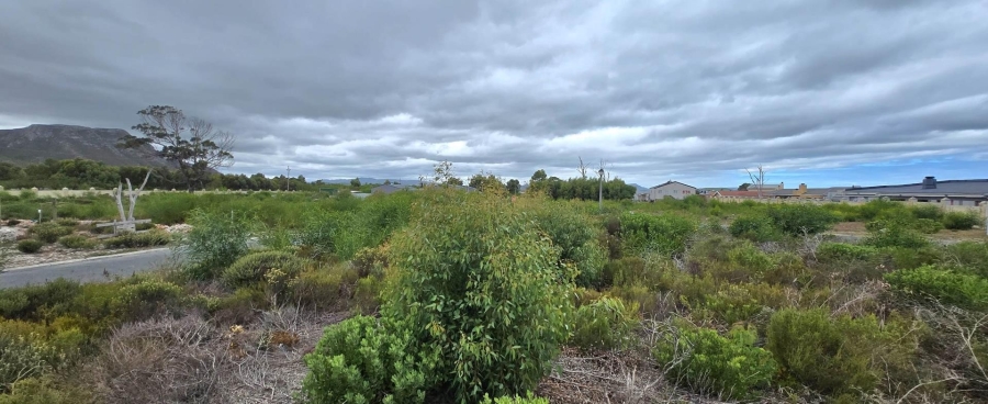 0 Bedroom Property for Sale in Franskraal Western Cape